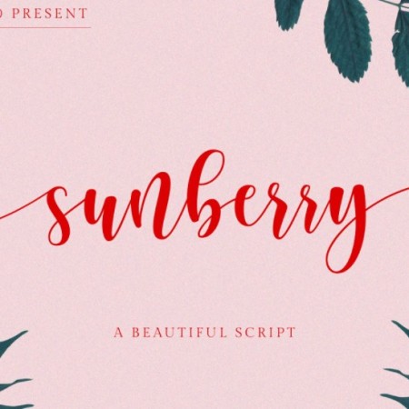 Sunberry Font