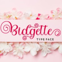 Bidgette Script Font